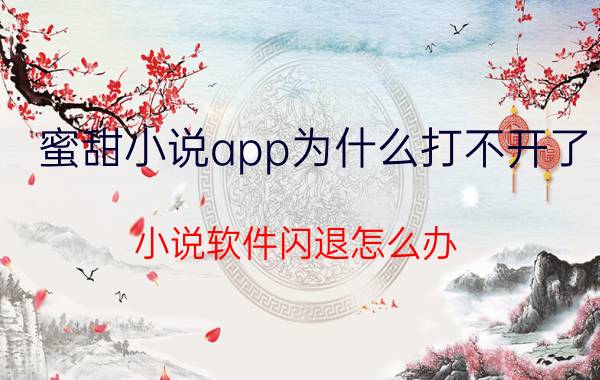 蜜甜小说app为什么打不开了 小说软件闪退怎么办？